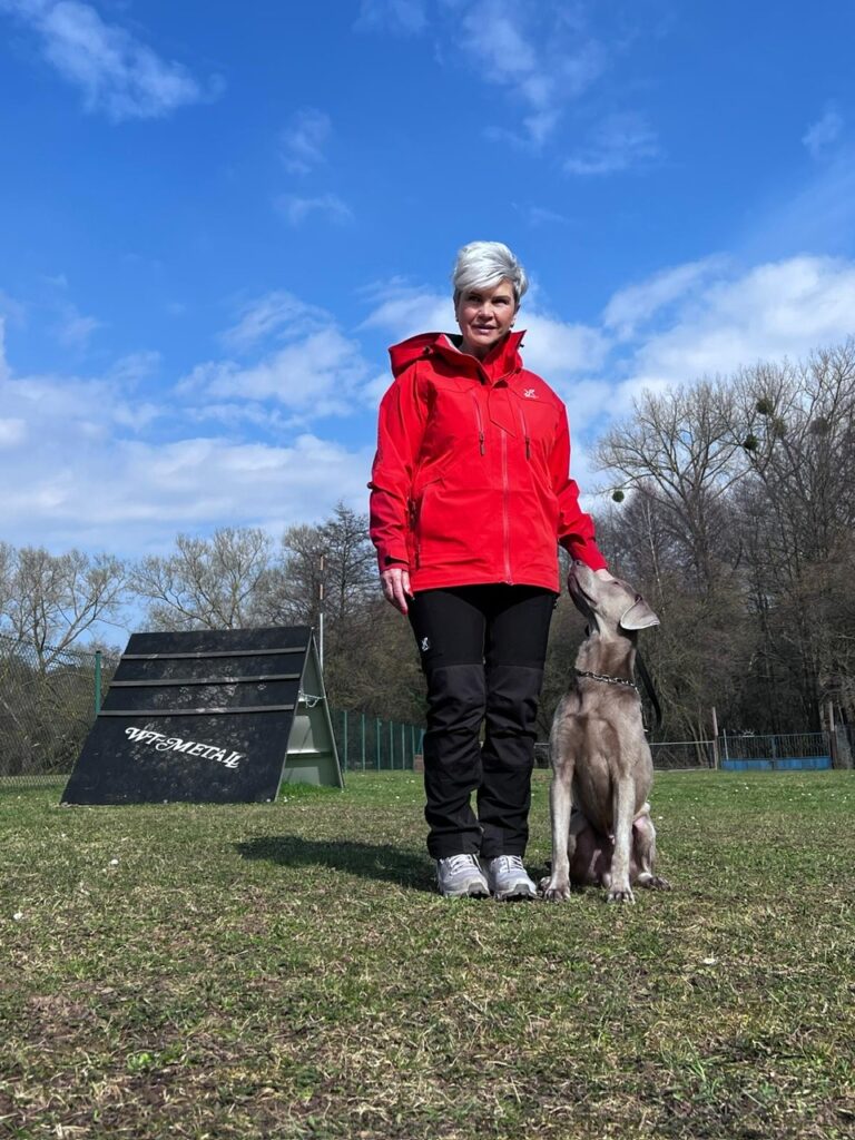 Unterordnung und Basisarbeit