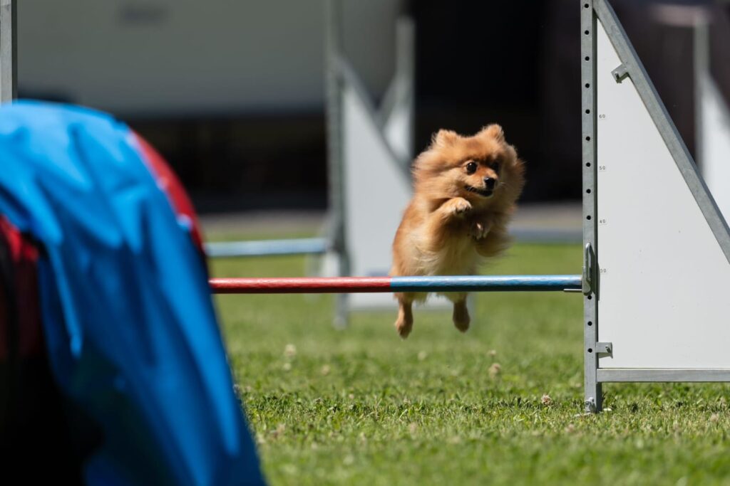 photo 2026 03 10 15 45 27 10