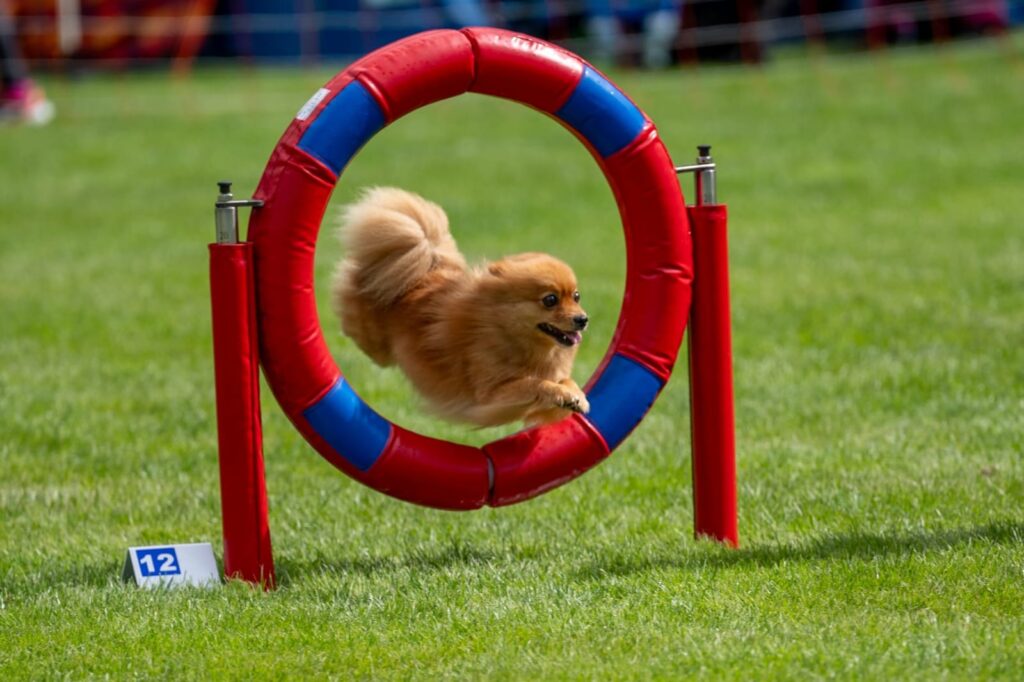 Agility