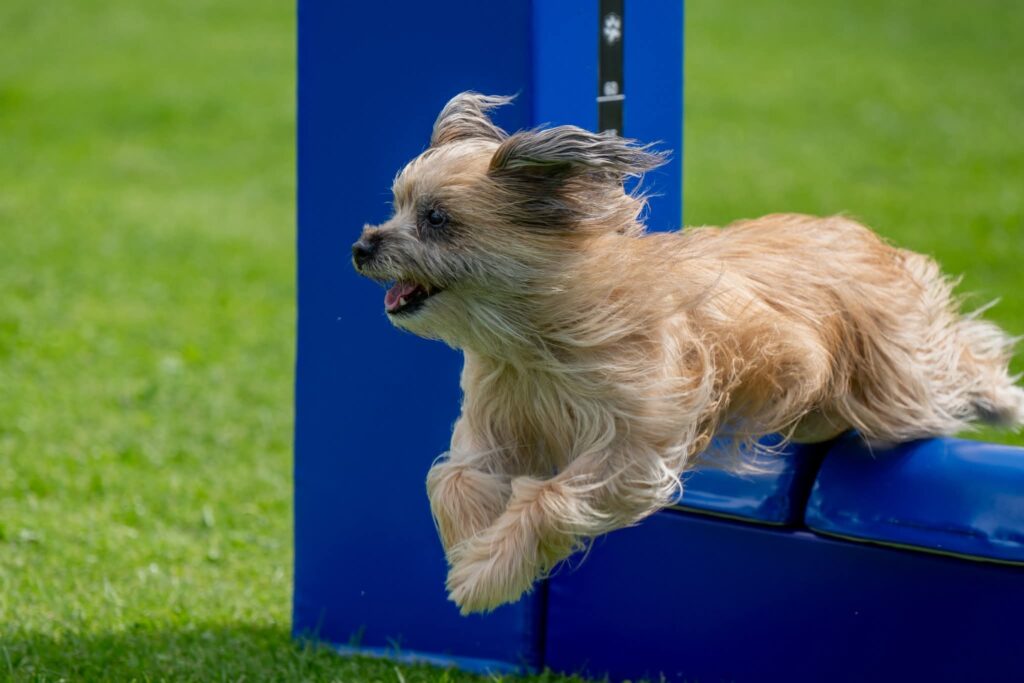 photo 2026 03 10 15 45 27 4