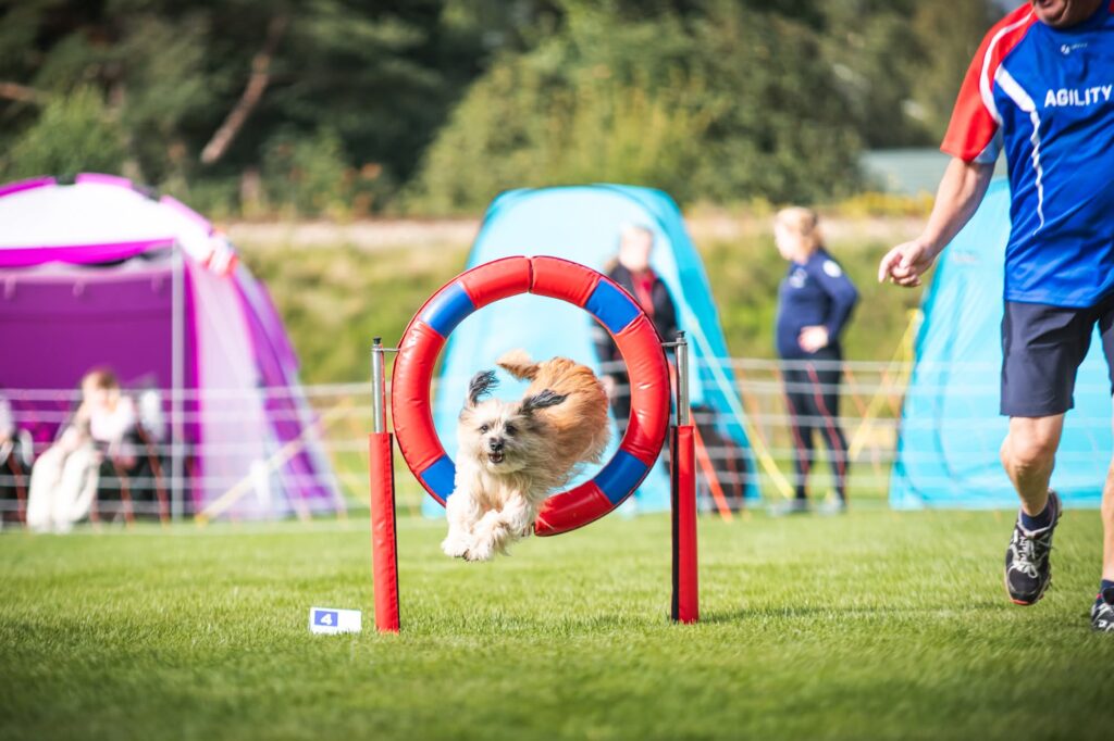 photo 2026 03 10 15 45 27 7